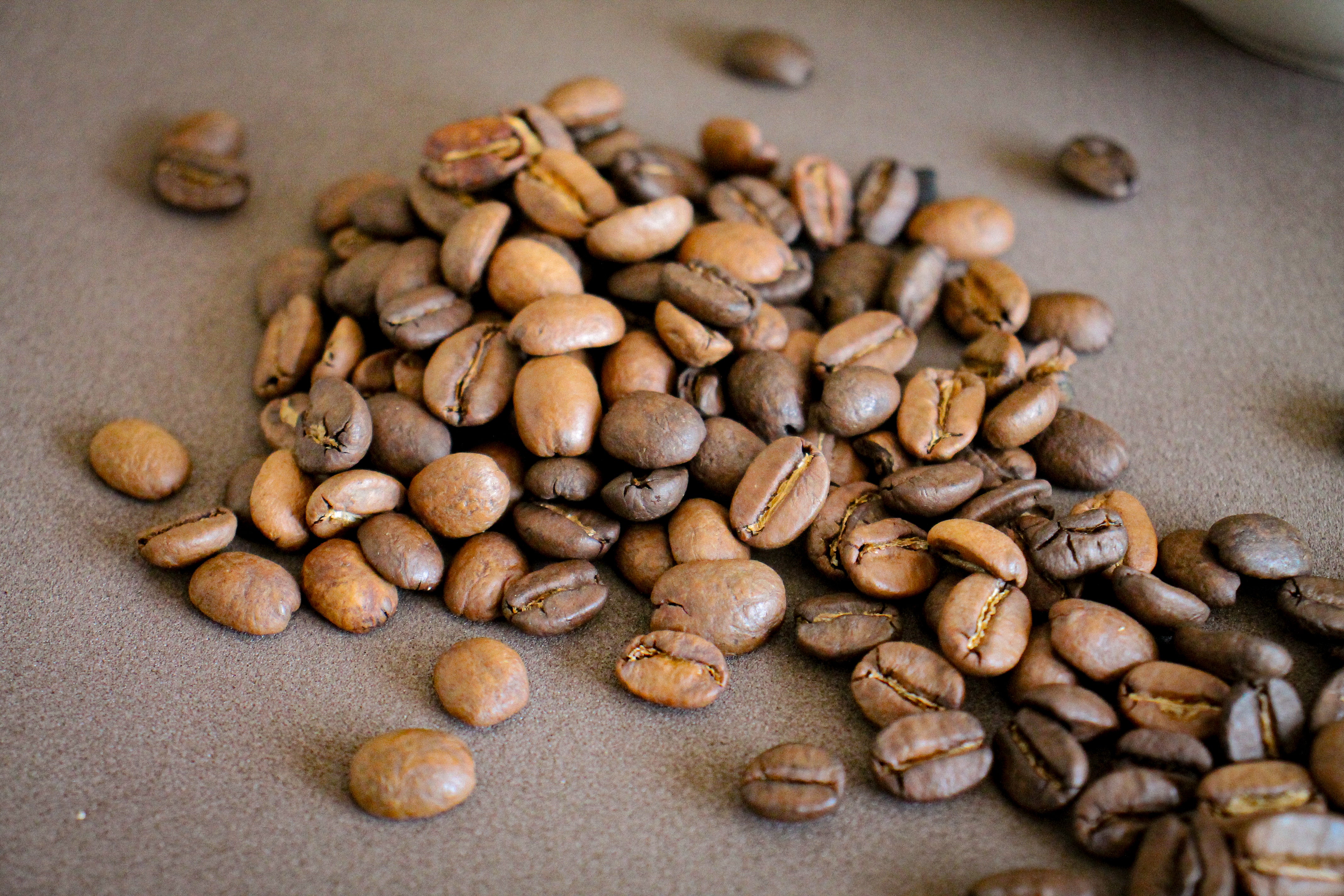 CAFÉ ESPECIAL MOÍDO - 4 UNIDADES